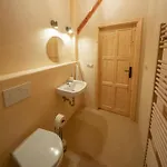 Ve Mlyne Appartement *