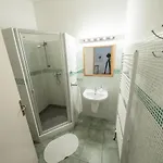 Ve Mlyne Appartement *